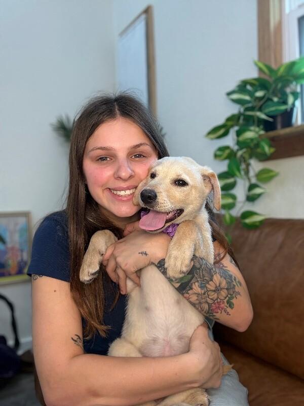 Vanilla Wafer Cookie — thumbnail 5