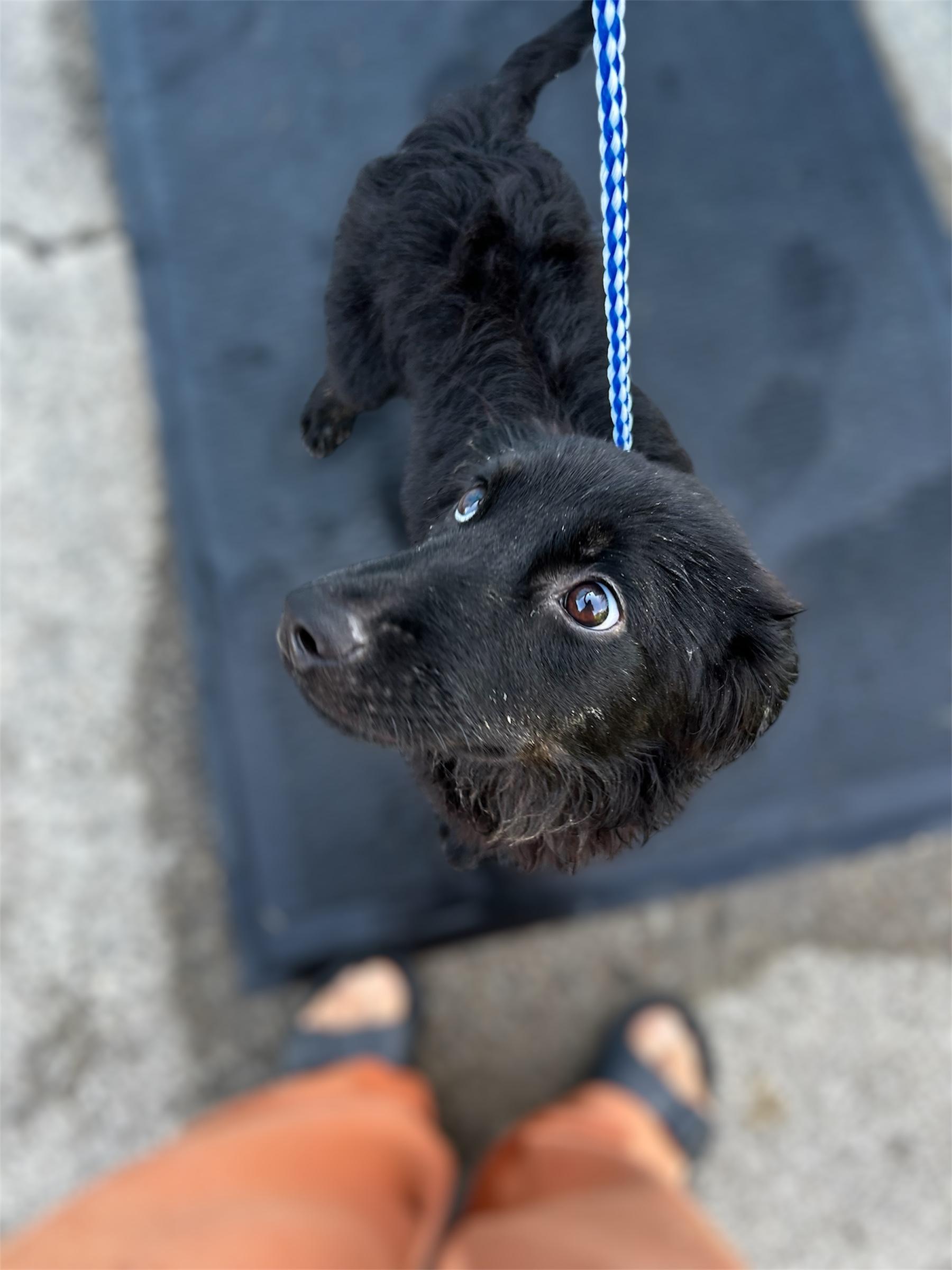 Buddy photo 2