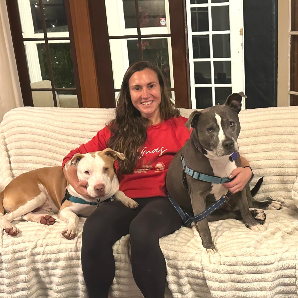 Enlarge Jeffrey, a Adoptable Mixed Breed in San Francisco, CA image 2/6