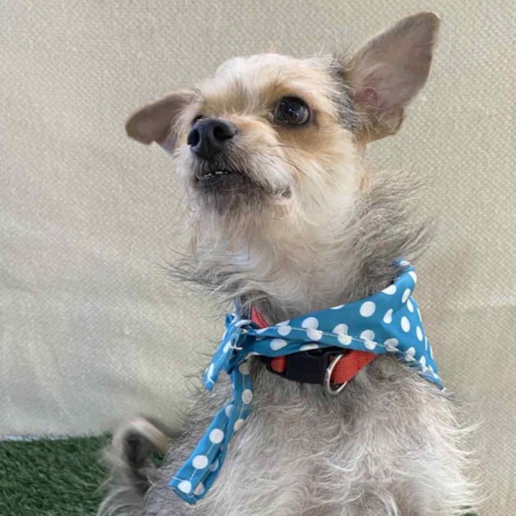 Charlie B. thumbnail 5