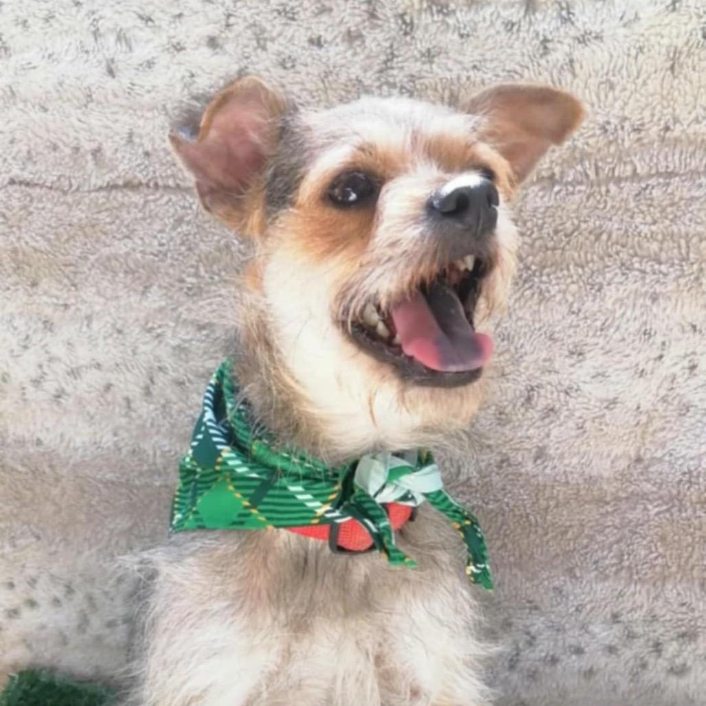 Charlie B. thumbnail 6