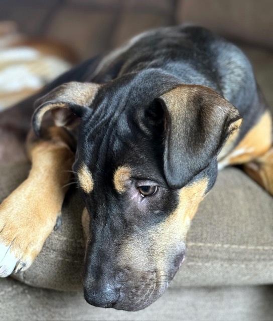 Woody photo 4