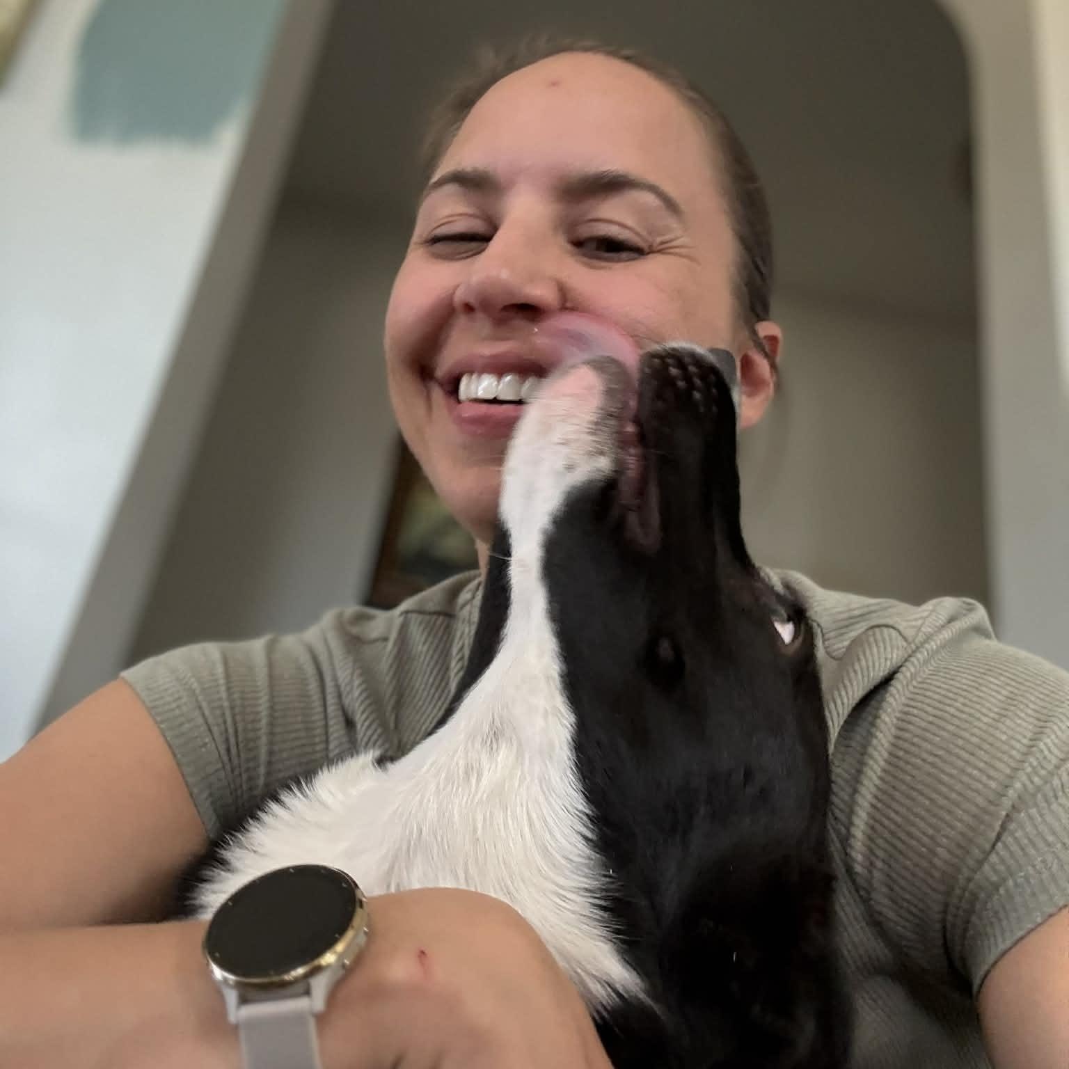 Enlarge Junie, a ADOPTABLE mixed breed in Mead, CO image 5/6