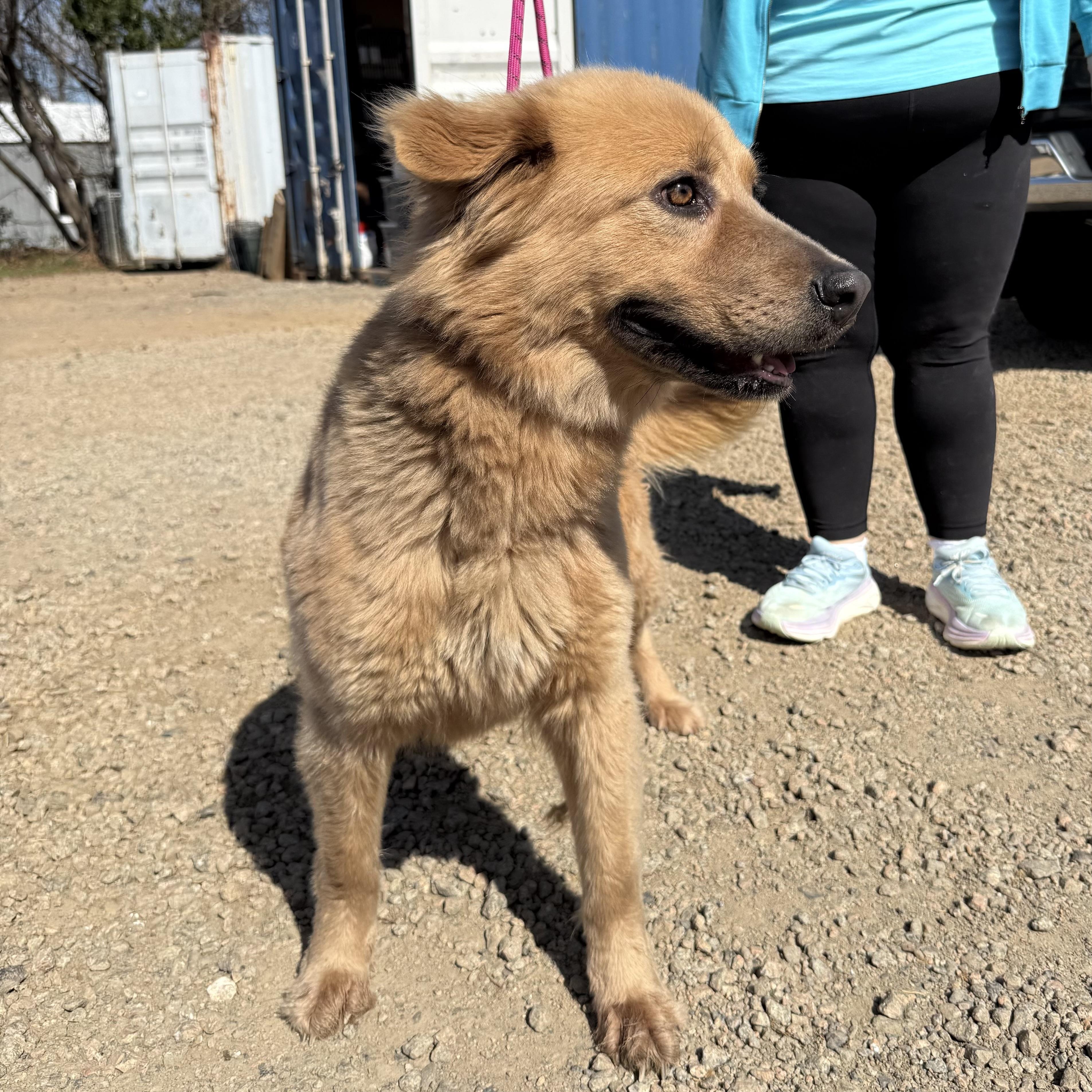 Salem — thumbnail 3