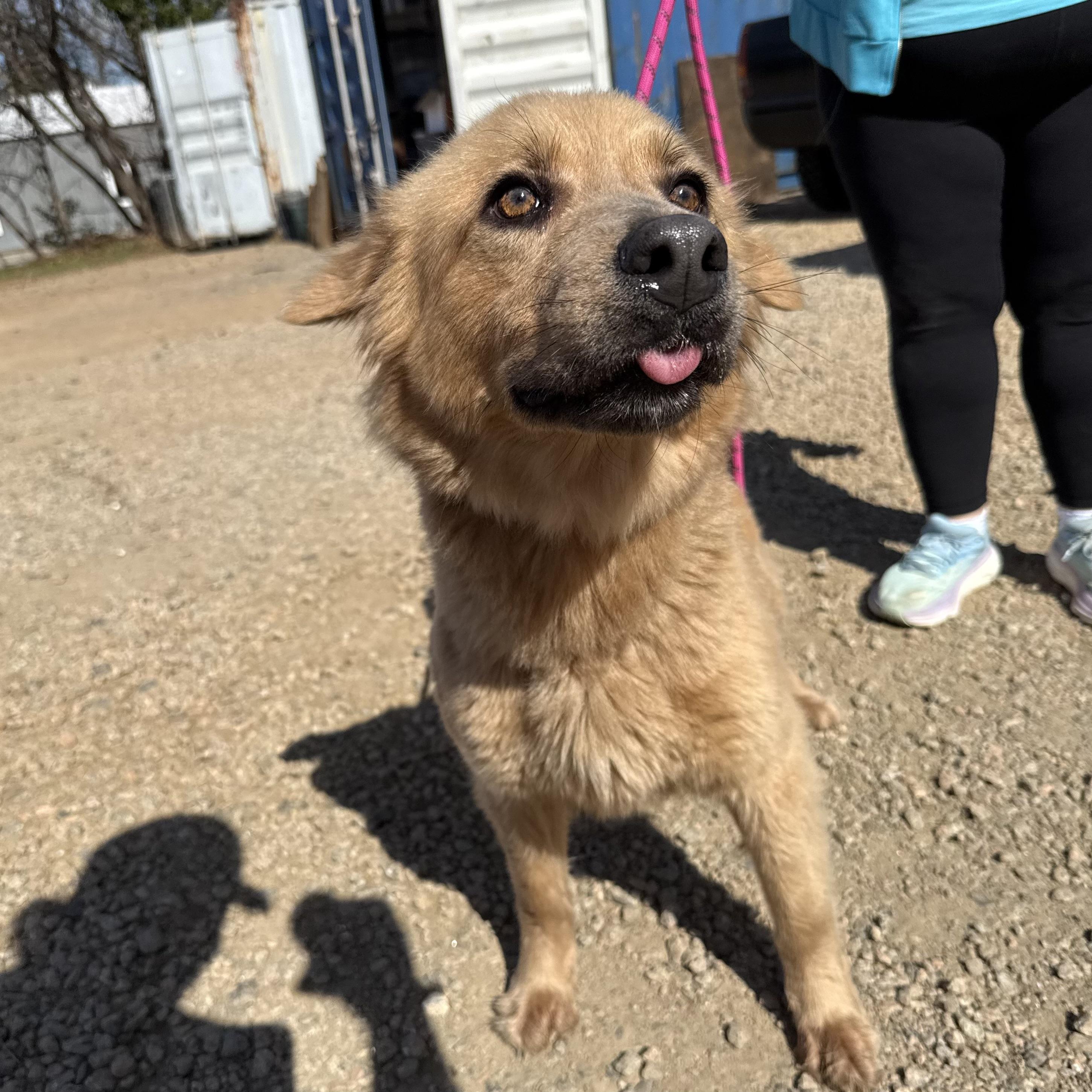 Salem — thumbnail 5