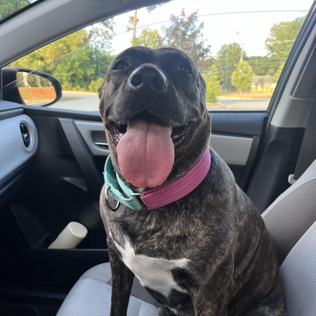 Zena — thumbnail 2