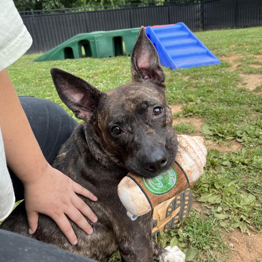 Zena — thumbnail 4