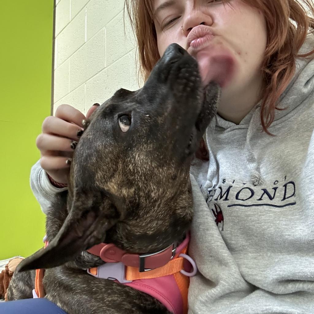 Zena — thumbnail 5