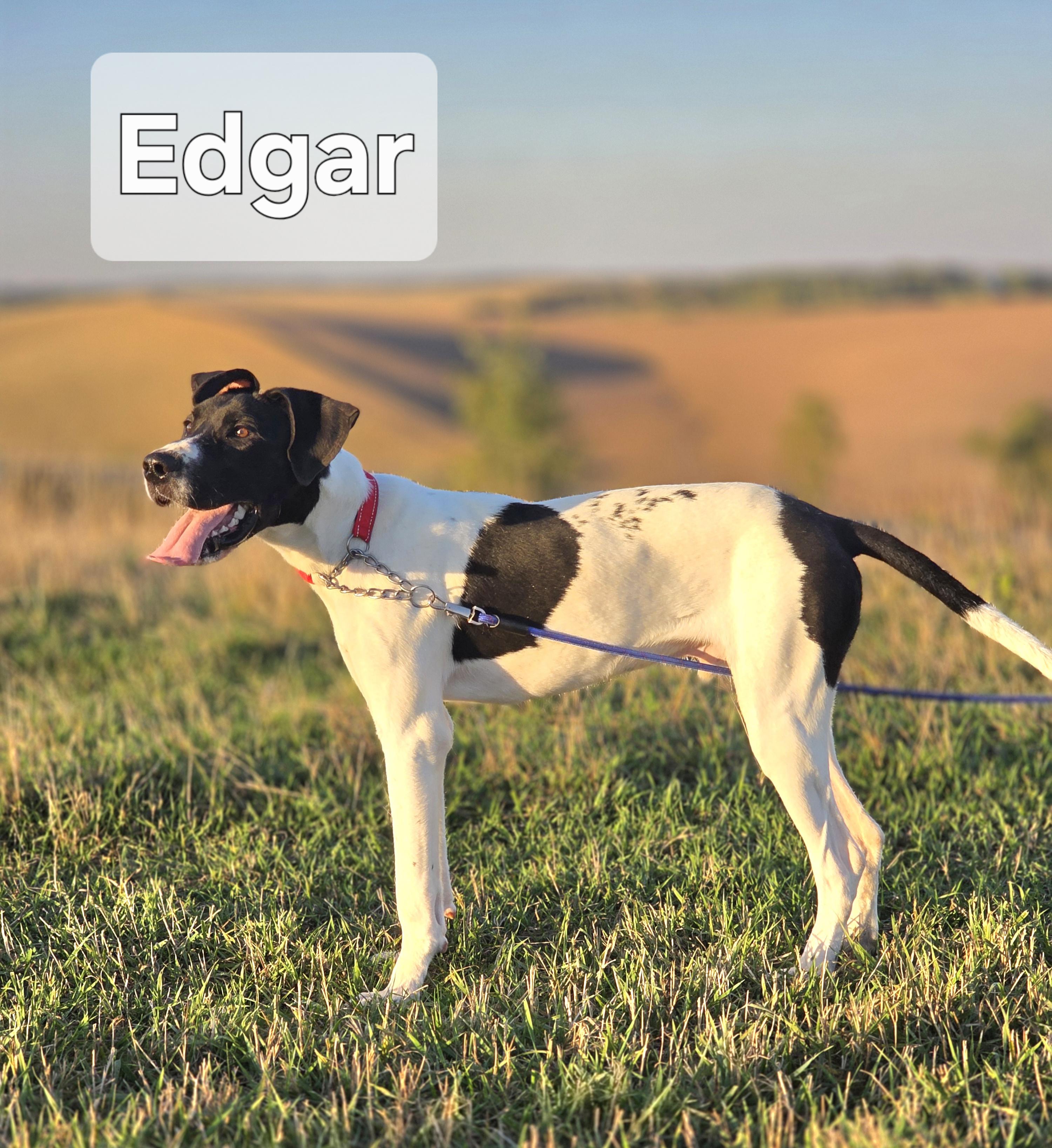 Edgar