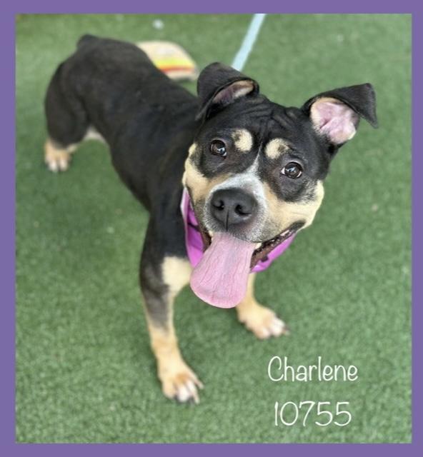 CHARLENE
