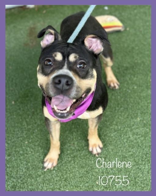 CHARLENE