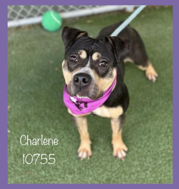 CHARLENE