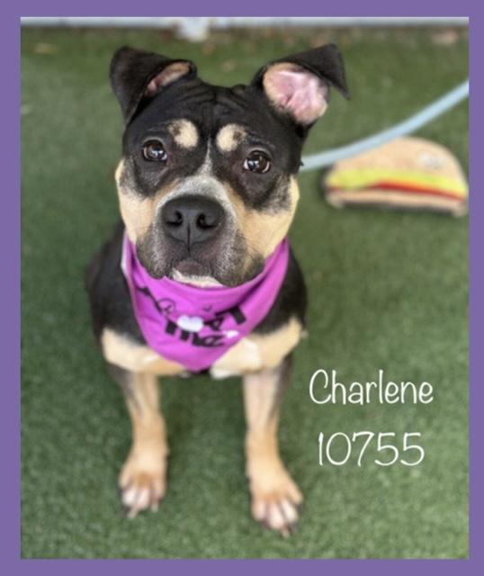 CHARLENE