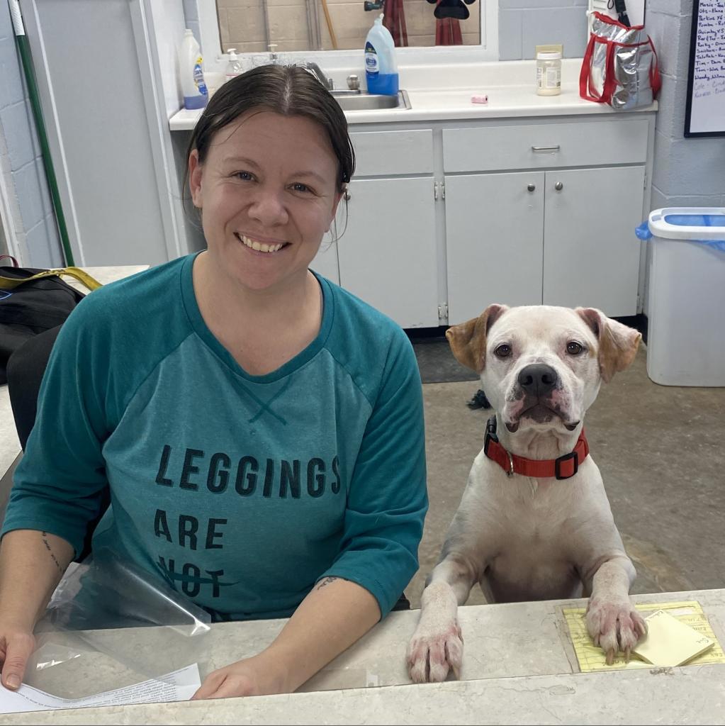 Luka, a Adoptable Mixed Breed in Duncan, OK image 4/6