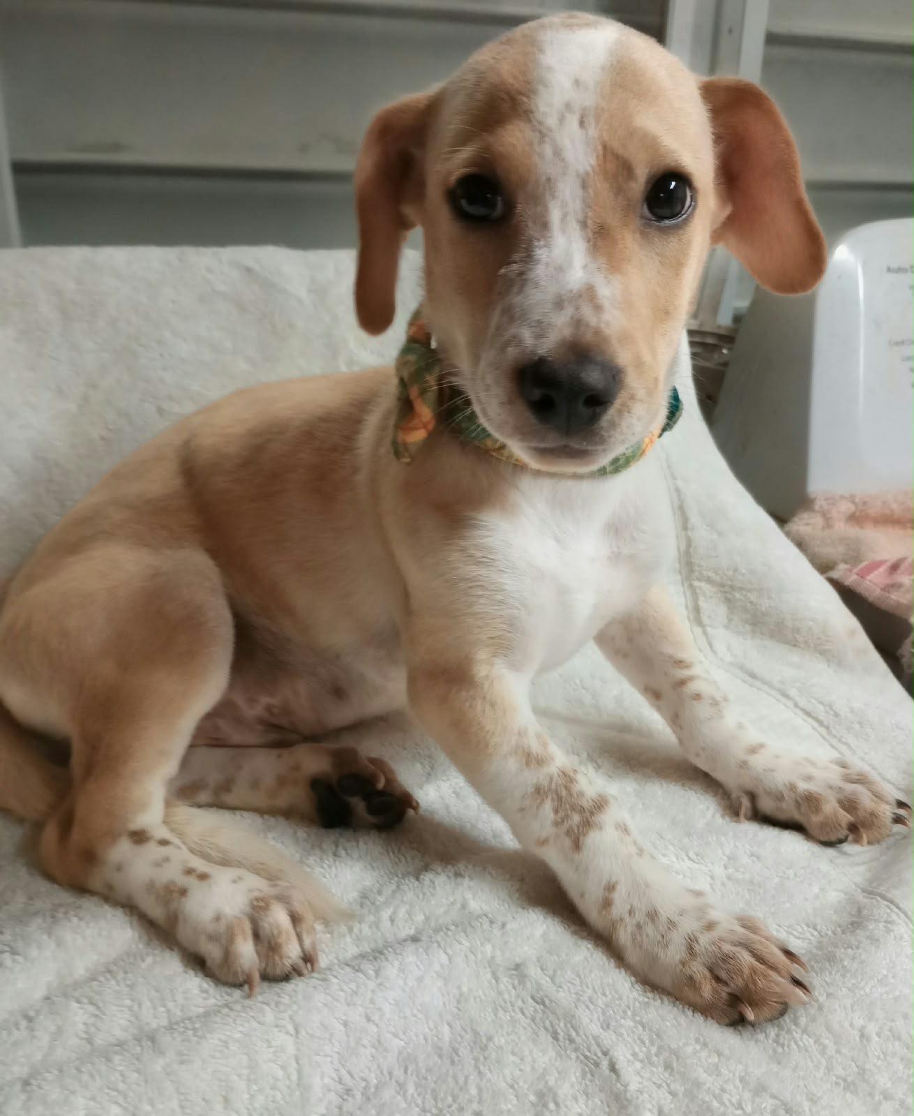 CUBBY photo