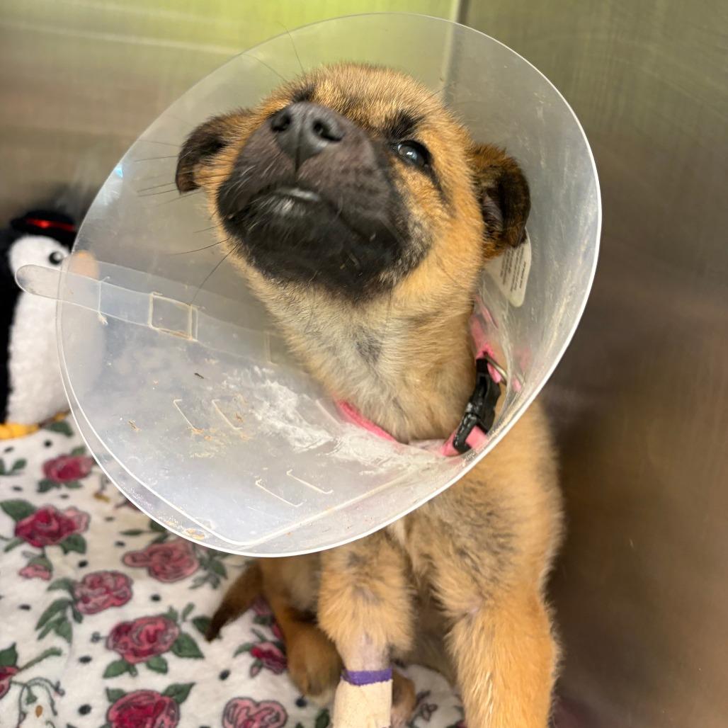 Homily — thumbnail 3