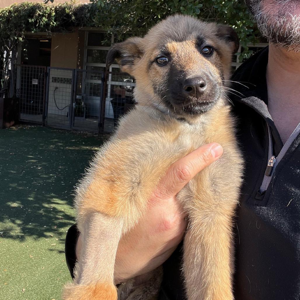 Homily — thumbnail 4