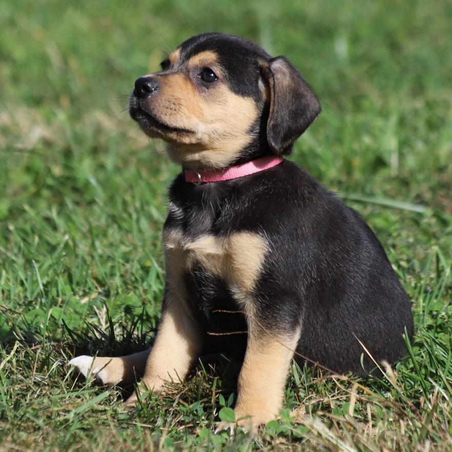 Small Fry  Moe thumbnail 2