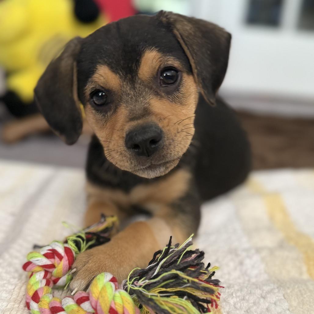 Small Fry  Moe thumbnail 5