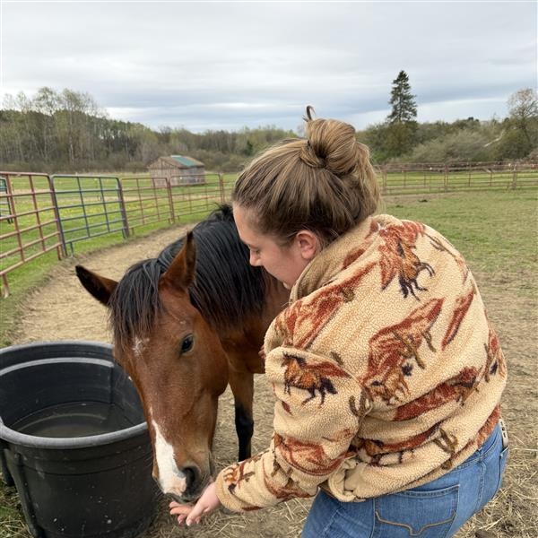 Rosie, a Adoptable Mustang in Cooperstown, NY image 4/6