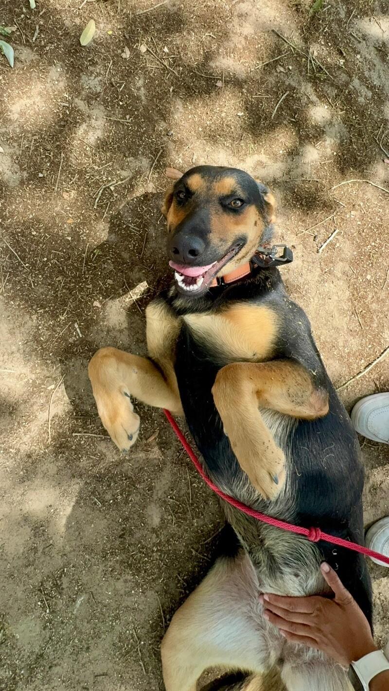 Jennie Ruby Jane — thumbnail 3