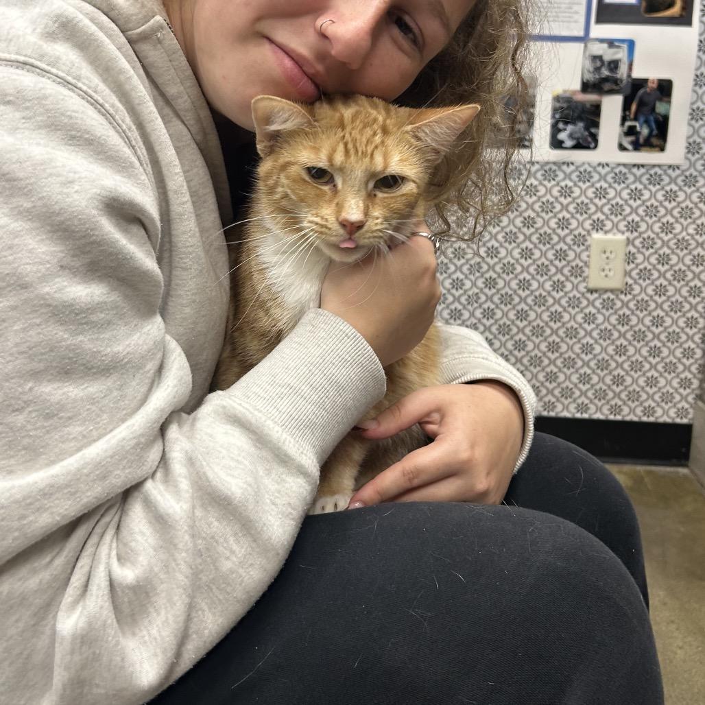 Ellison — thumbnail 2