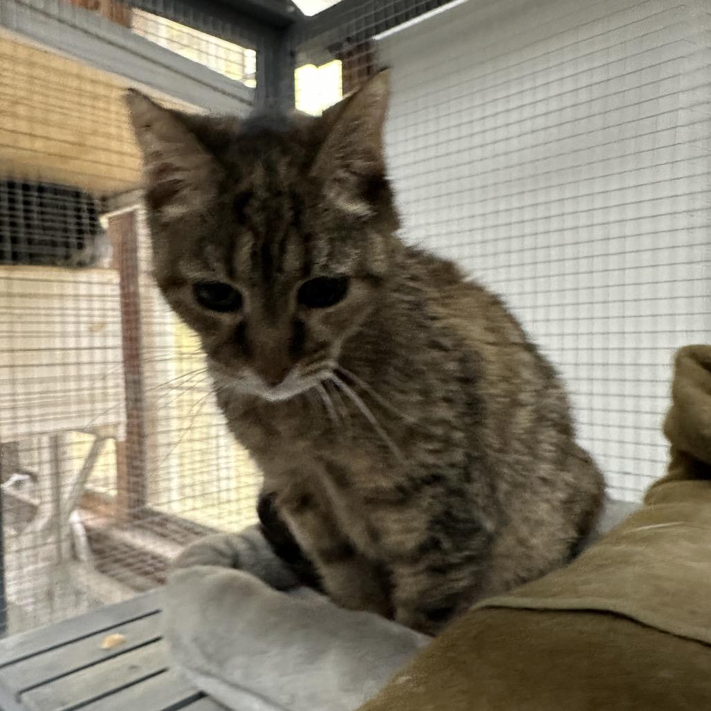 Paulina — thumbnail 2