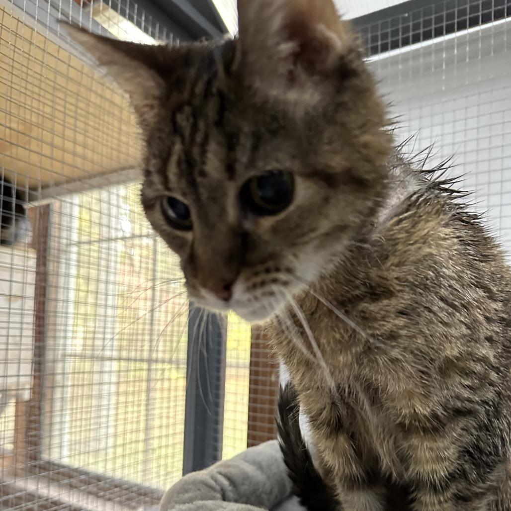 Paulina — thumbnail 3