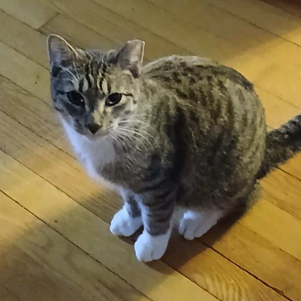 Diesel — thumbnail 2