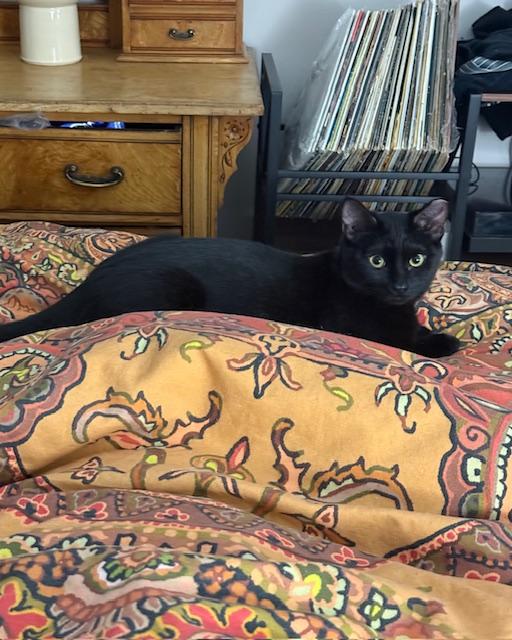 Skitter - New Images*