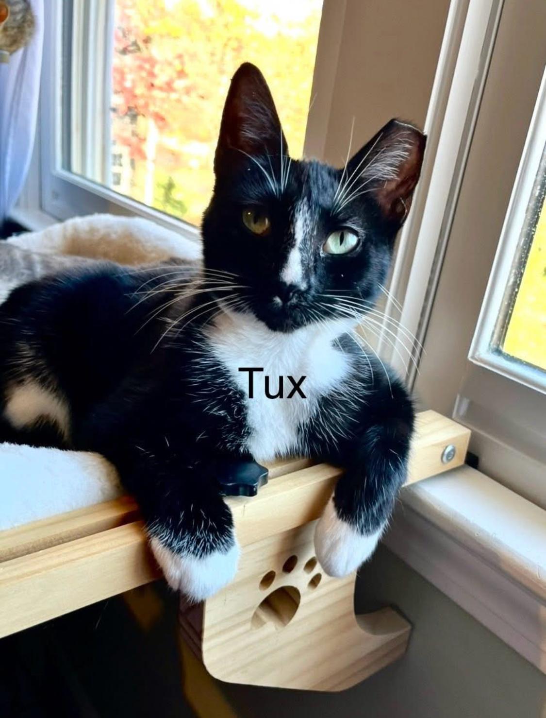 Tux