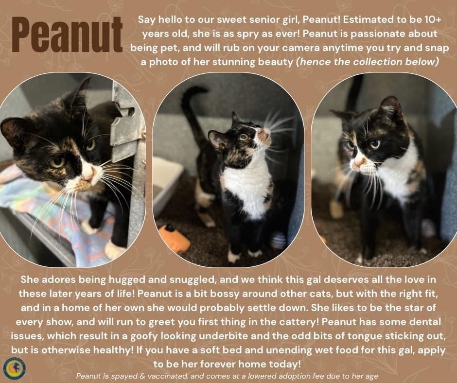 Peanut