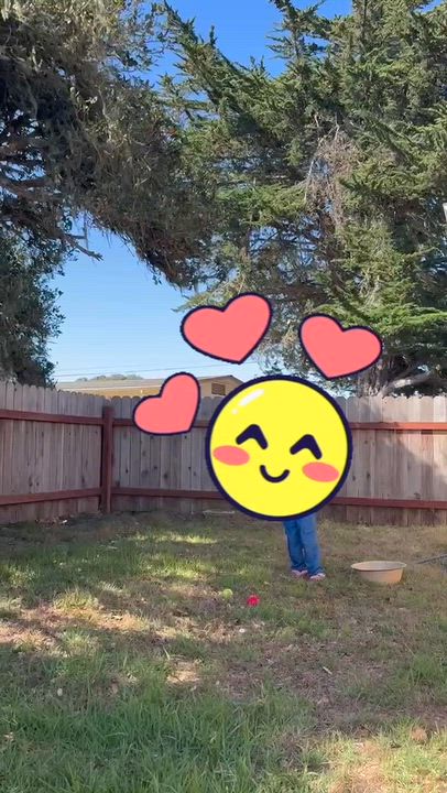 Enlarge Axel, a Adoptable mixed breed in Salinas, CA video 4/4