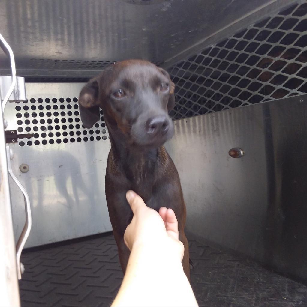 Tokyo — thumbnail 2