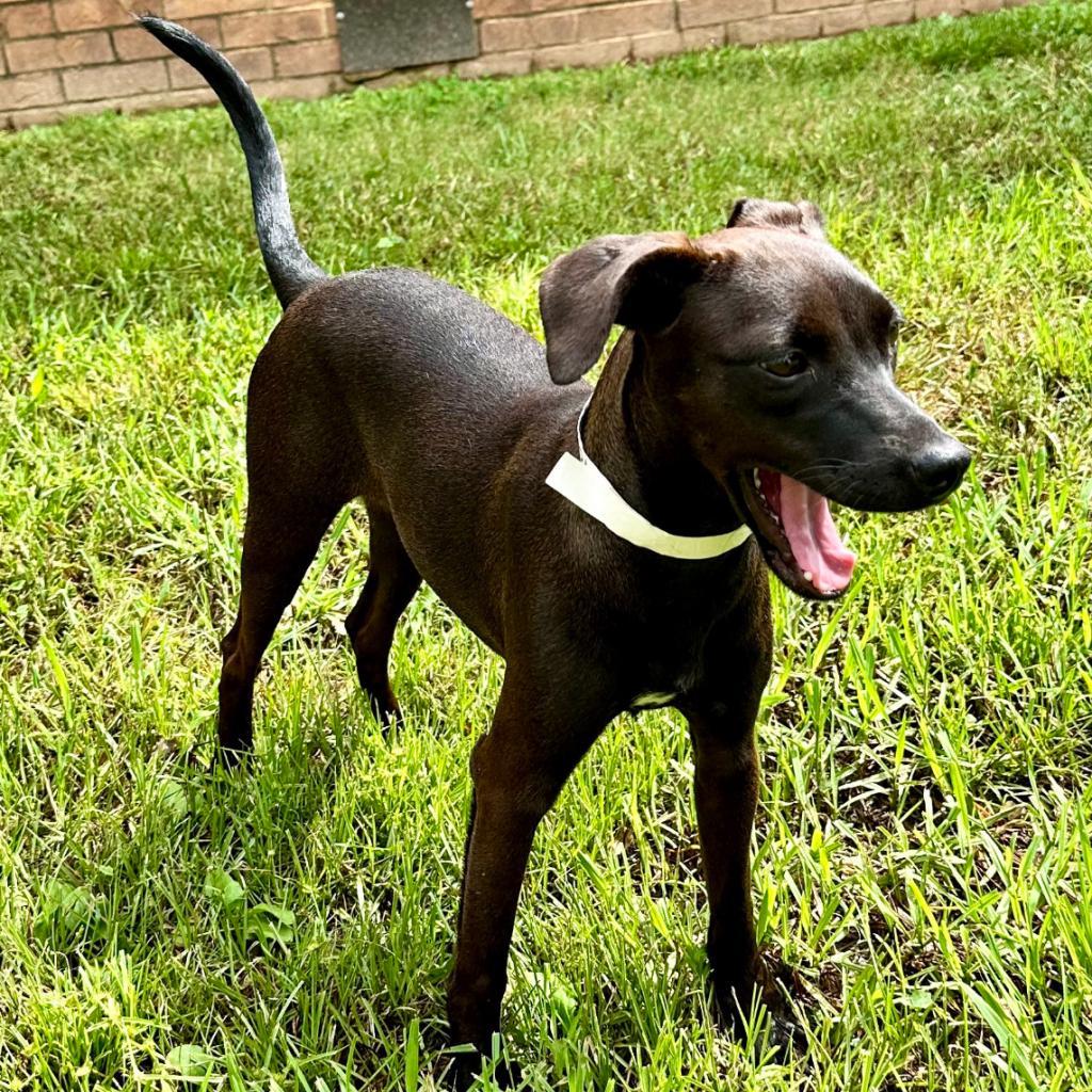 Tokyo — thumbnail 3