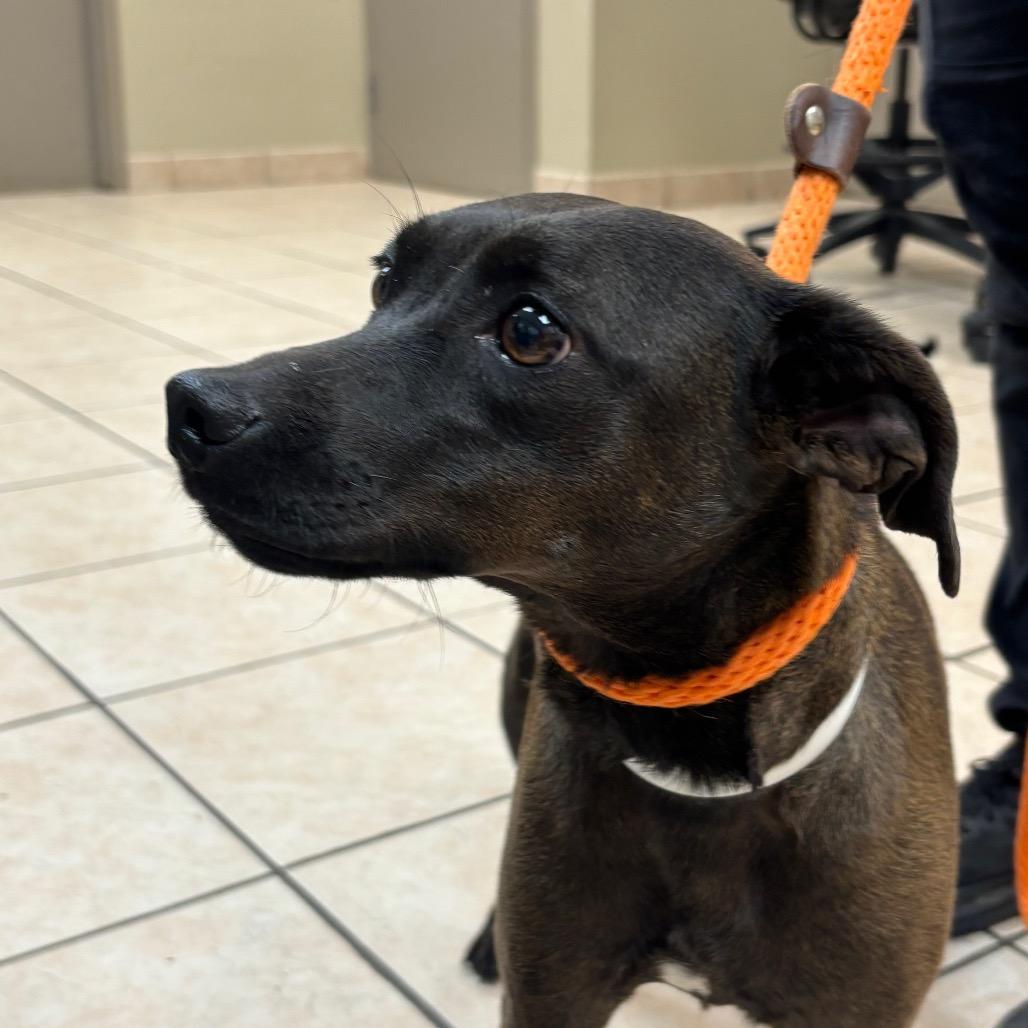 Tokyo — thumbnail 4