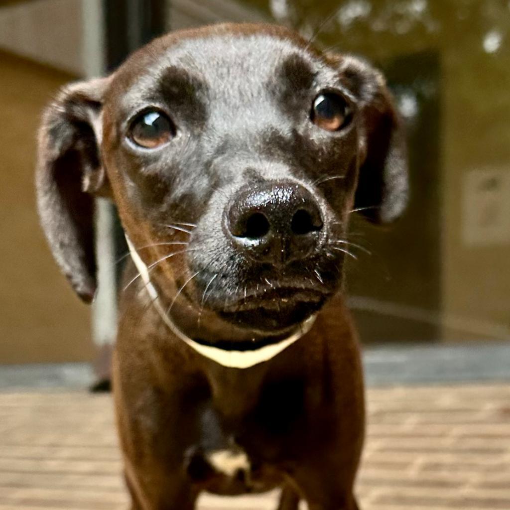 Tokyo — thumbnail 5