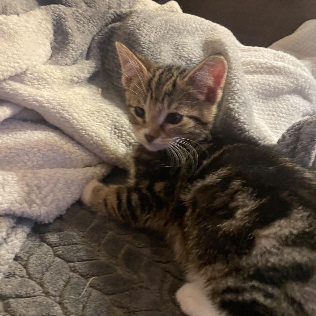 Photo of Captain