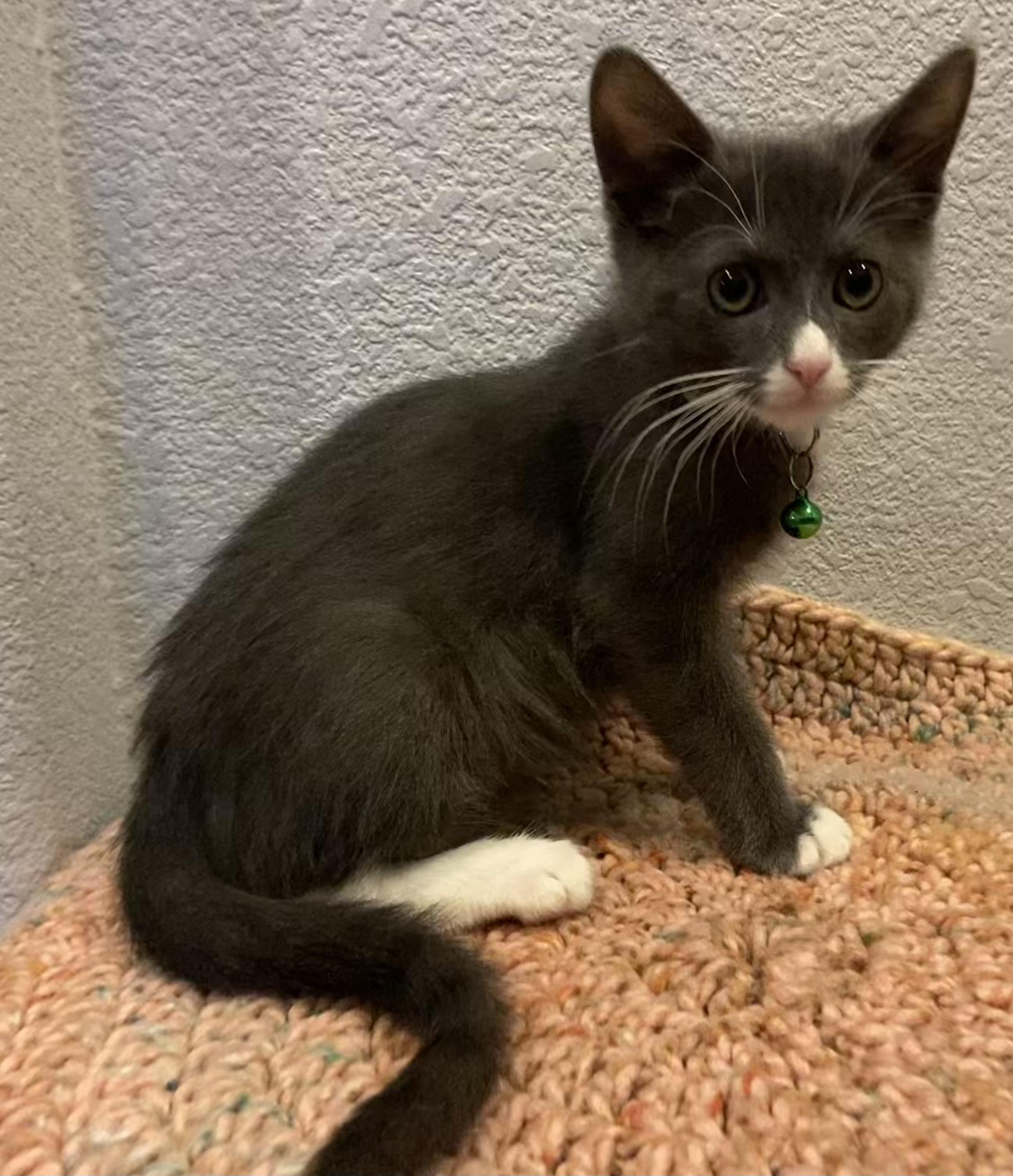 Steele, Baby Male unknown