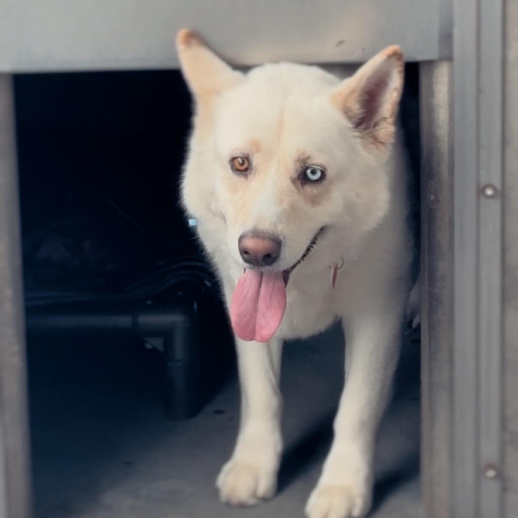 Zayna A2241264 — thumbnail 2