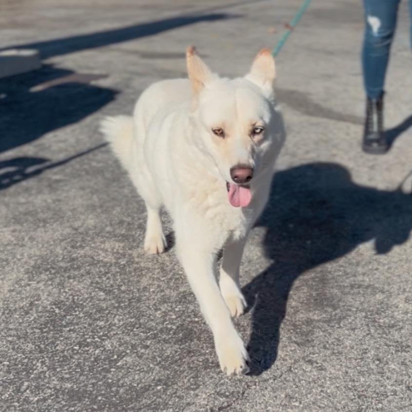 Zayna A2241264 — thumbnail 3