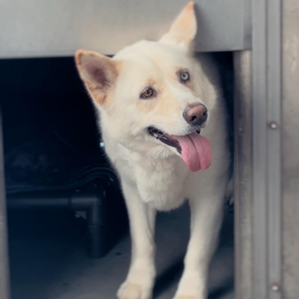 Zayna A2241264 — thumbnail 4