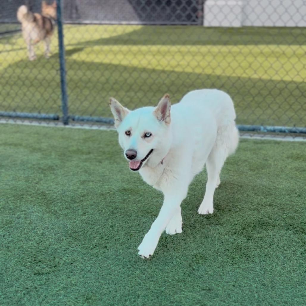 Zayna A2241264 — thumbnail 6