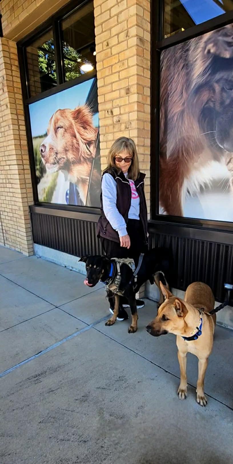 Enlarge Moose, a Adoptable Mixed Breed in Lockhart, TX image 6/6