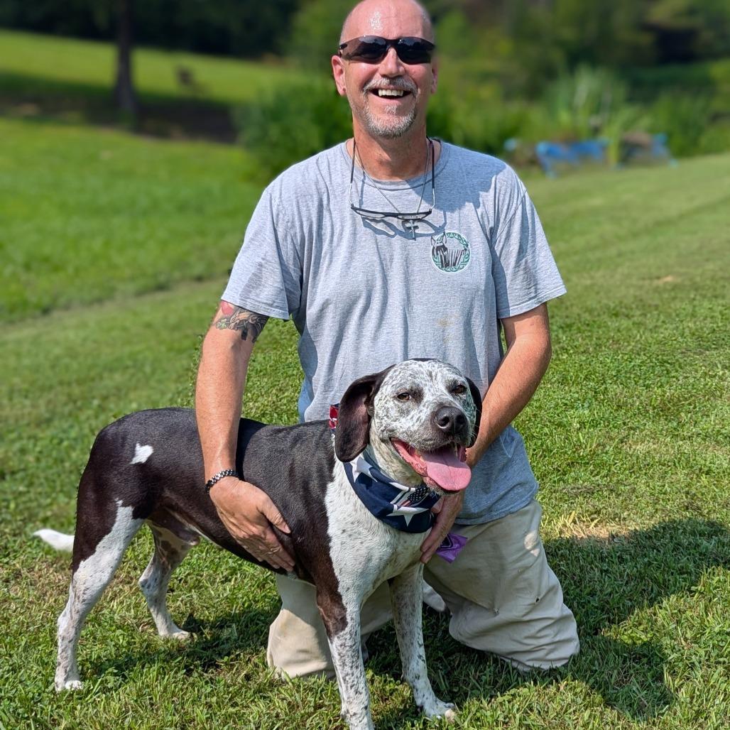 Dallas, a ADOPTABLE mixed breed in Helena, AL image 6/6