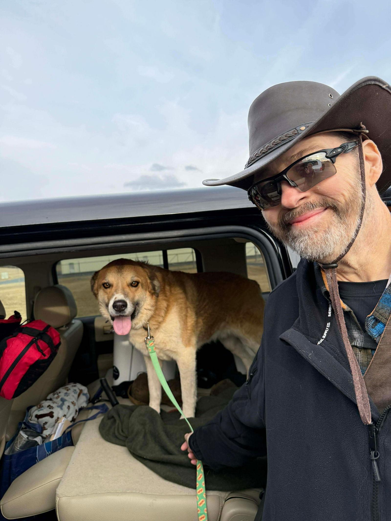 Enlarge Rebel, a Adoptable Husky in Charlotte, NC image 2/3