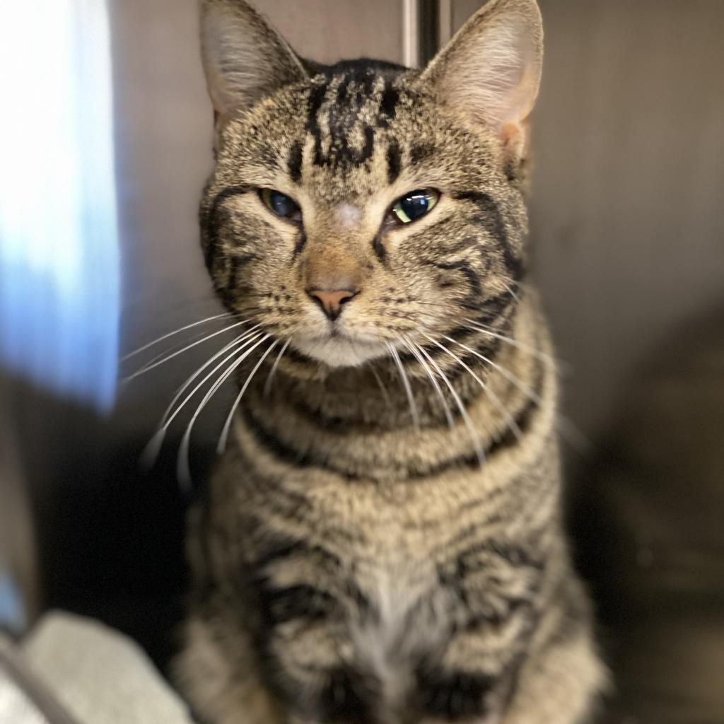 Bowen 2 — thumbnail 3