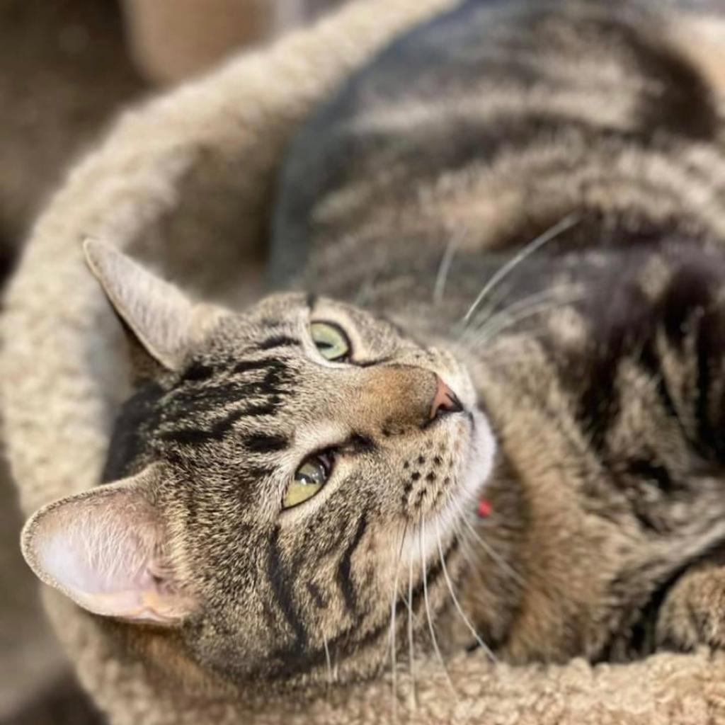 Bowen 2 — thumbnail 4