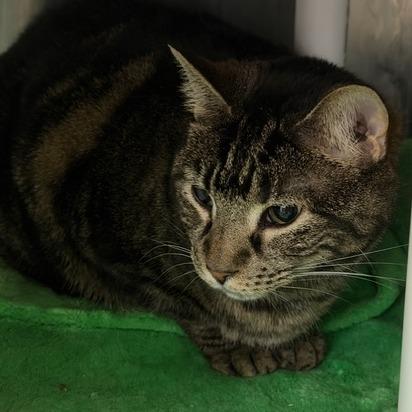 Bowen 2 — thumbnail 5