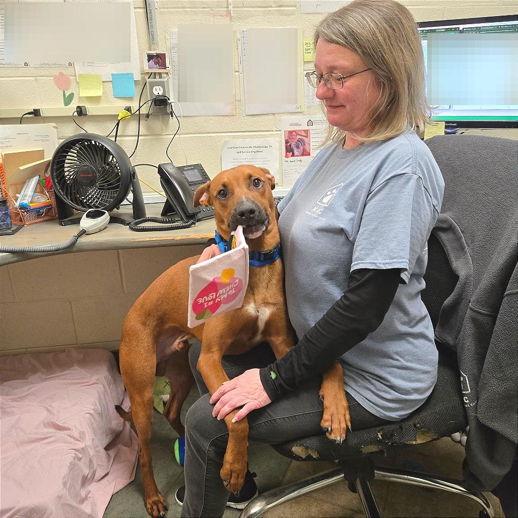 Sonny — thumbnail 3